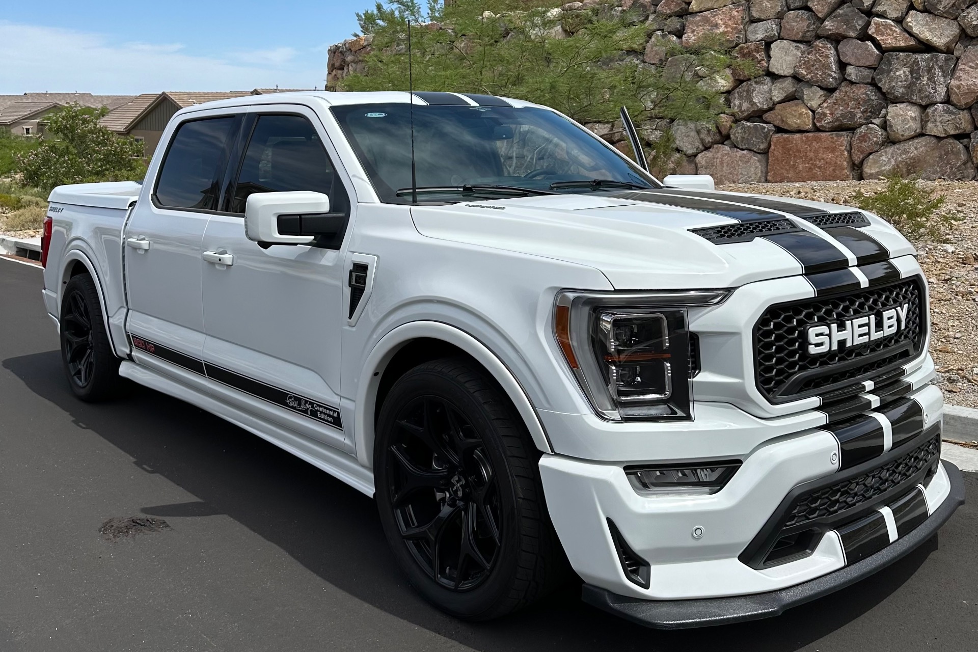 Grille Kit | FORD F-150 SHELBY 2023 Grille Kit | FORD F-150 SHELBY 2023