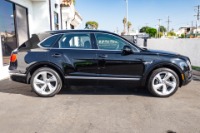 【希少モデル】INDEPENDENCE Deep Special 180S 美品 Used 2019 Bentley Bentayga V8 For Sale (Sold) | iLusso Stock